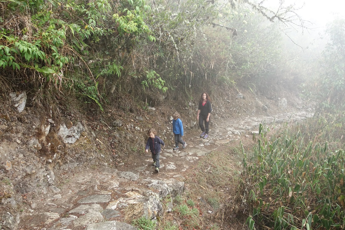DSC08527